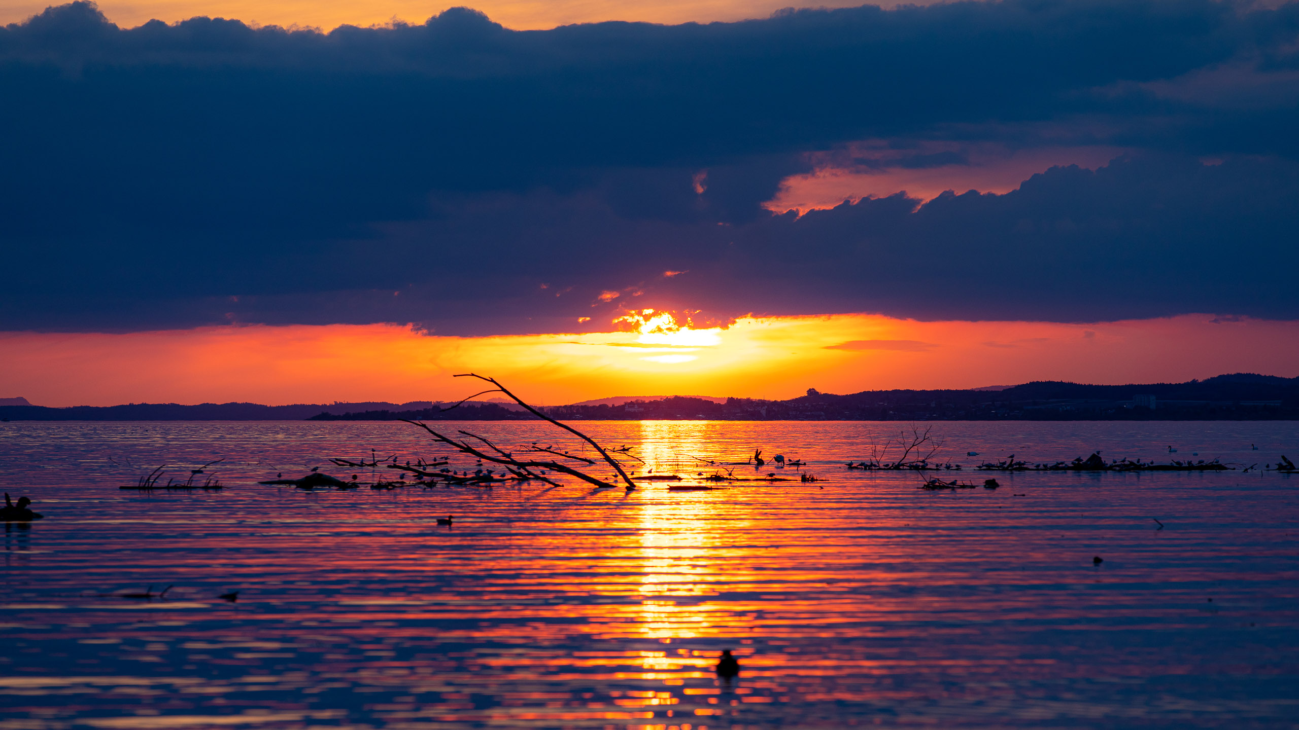 20230506203212 RD4 3944